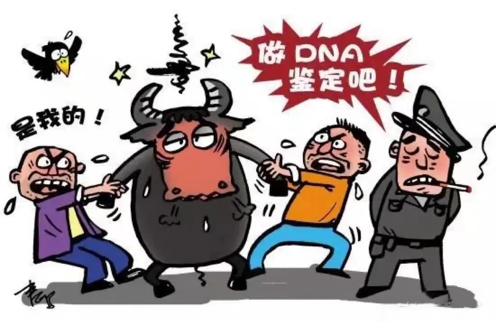 福州亲子鉴定牛的亲子鉴定2