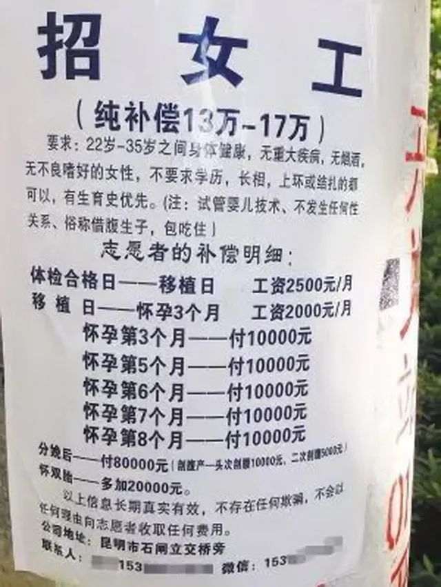 亲子鉴定